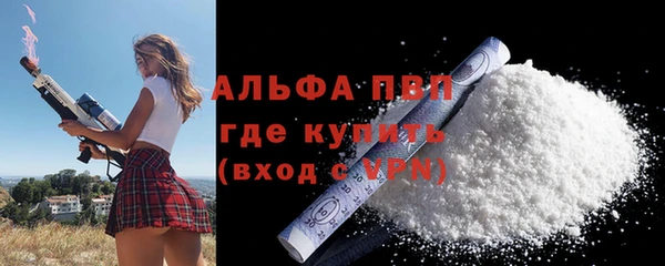 гашик Осташков