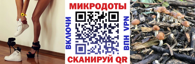 Галлюциногенные грибы GOLDEN TEACHER  закладки  Ишимбай 